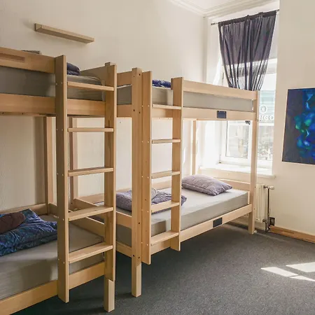 시나몬 샐리 백패커스