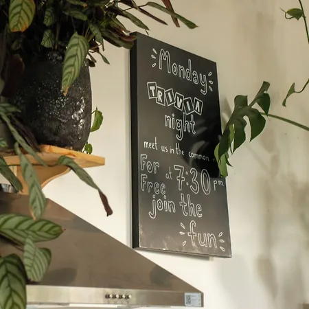 Cinnamon Sally Backpackers Hostel *