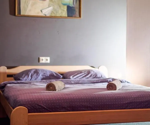 希娜蒙莎莉背包客旅馆 旅馆 里加