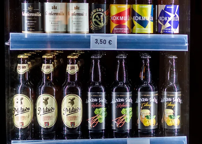 希娜蒙莎莉背包客旅馆 *