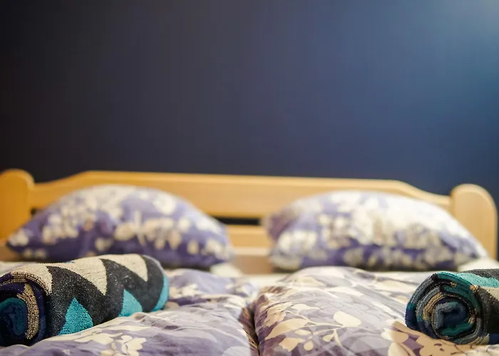 希娜蒙莎莉背包客旅馆